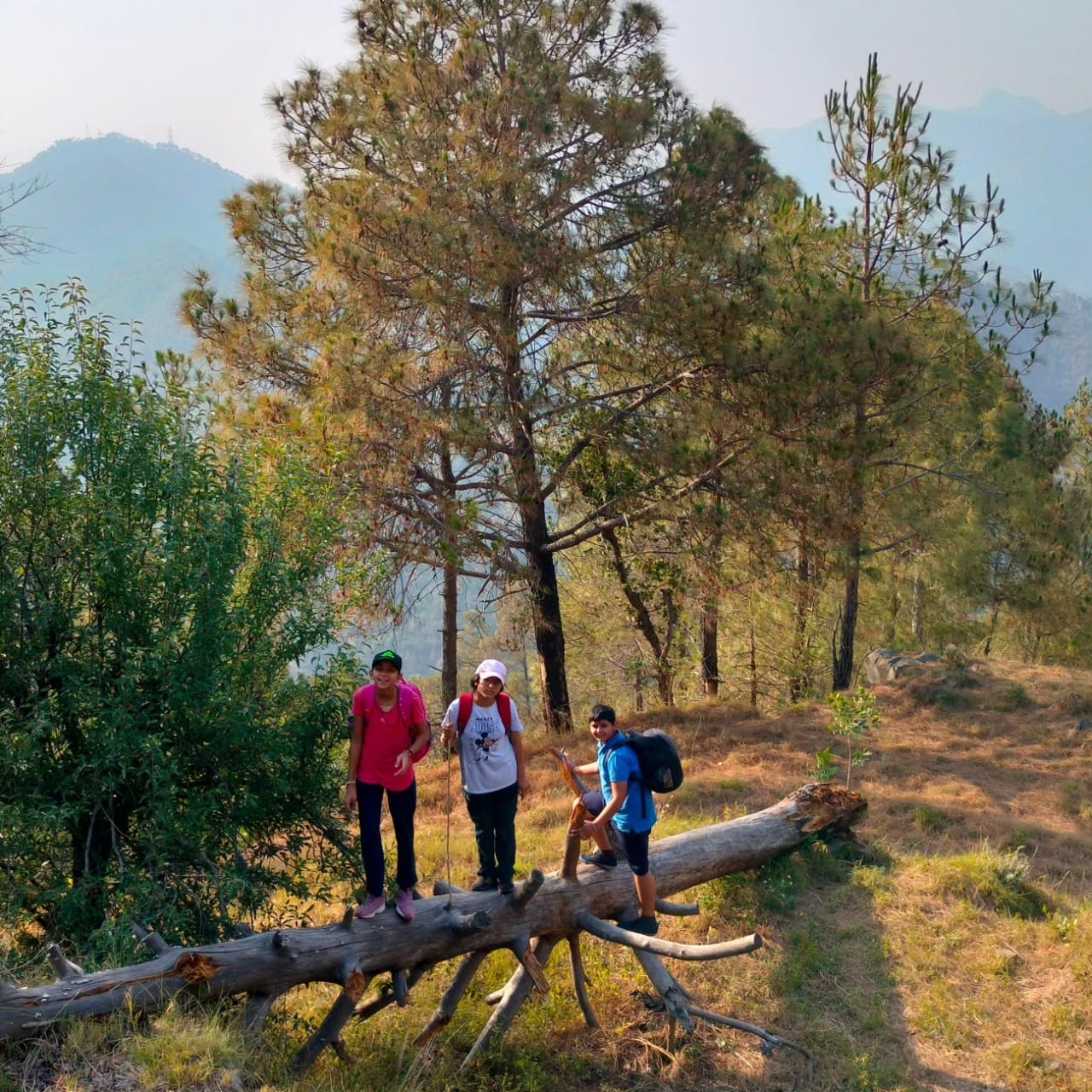 HimAvaan Himachal Pradesh trekking and camping moment
